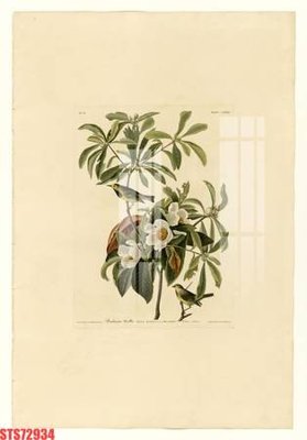 File gốc Tranh sơn dầu phương tây tổng hợp STS72934 (ảnh chi tiết) để in ấn