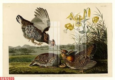 File PSD Tranh sơn dầu phương tây tổng hợp STS72935 (bản gốc) dễ dàng edit