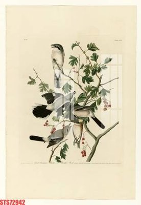 Mua file gốc Tranh sơn dầu phương tây tổng hợp STS72942 (PSD) tại Filetranh.com