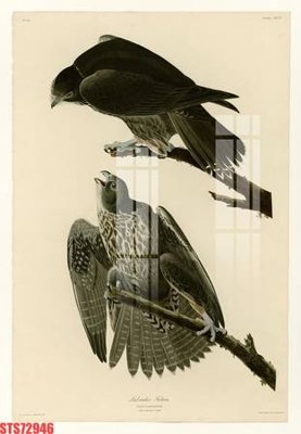 File gốc Tranh sơn dầu phương tây tổng hợp STS72946 (trang trí) cho phòng khách