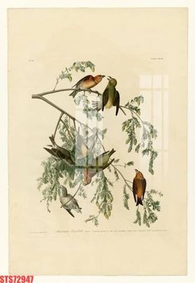 Tải file Tranh sơn dầu phương tây tổng hợp STS72947 (ảnh gốc) file AI/EPS