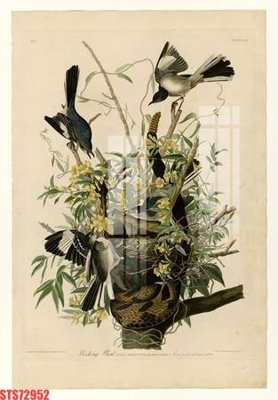 File ảnh gốc Tranh sơn dầu phương tây tổng hợp STS72952 (chuyên in mica)