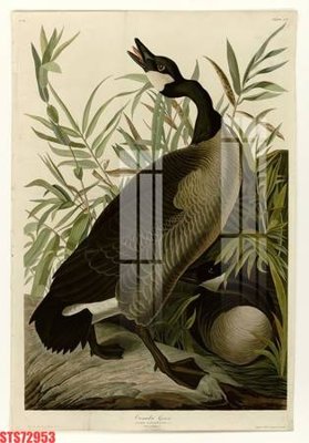 File gốc Tranh sơn dầu phương tây tổng hợp STS72953 (chuẩn CMYK) cho nhà in