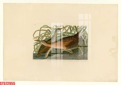 File tranh Tranh sơn dầu phương tây tổng hợp STS72955 (file gốc) chuẩn màu in