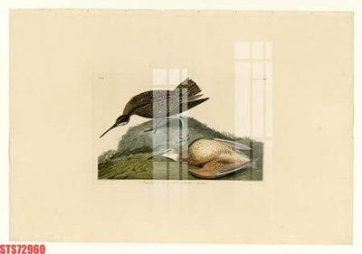 Download file Tranh sơn dầu phương tây tổng hợp STS72960 (gốc) in mica ốp bếp