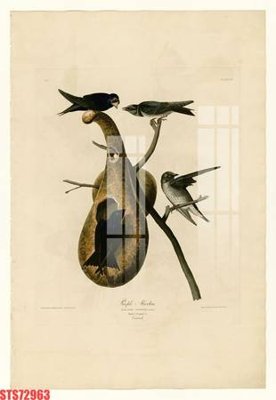 File PSD Tranh sơn dầu phương tây tổng hợp STS72963 (bản gốc) dễ dàng edit