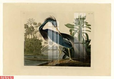 File gốc Tranh sơn dầu phương tây tổng hợp STS72970 (Filetranh.com) Tranh sơn dầu phương tây tổng hợp STS72970