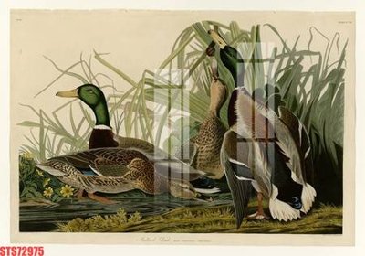 File gốc Tranh sơn dầu phương tây tổng hợp STS72975 (phong cách) tối giản