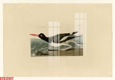 Download file Tranh sơn dầu phương tây tổng hợp STS72977 (chất lượng in ấn)