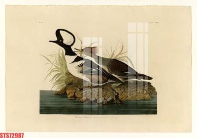 File in mica Tranh sơn dầu phương tây tổng hợp STS72987 (bản gốc) làm vách ngăn