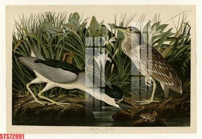 File tranh Tranh sơn dầu phương tây tổng hợp STS72991 (gốc) chủ đề trừu tượng