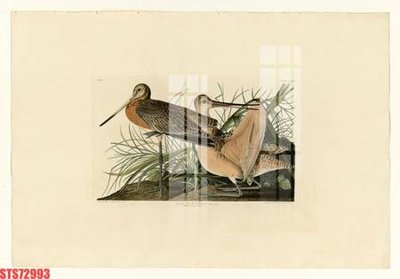 File PSD Tranh sơn dầu phương tây tổng hợp STS72993 (gốc) nhiều lớp (multi-layer)