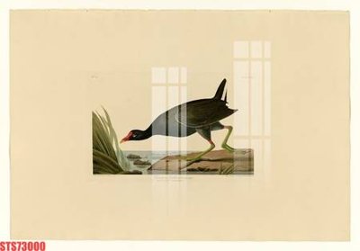 File gốc Tranh sơn dầu phương tây tổng hợp STS73000 cho in ấn và thiết kế