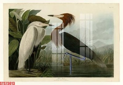 File PSD Tranh sơn dầu phương tây tổng hợp STS73013 (gốc) cho designer