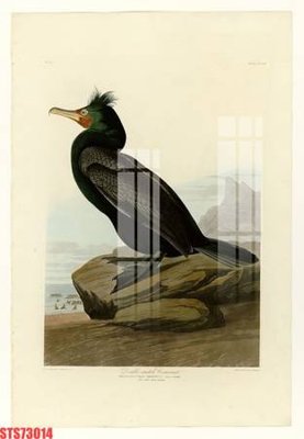 File PSD Tranh sơn dầu phương tây tổng hợp STS73014 (gốc) tách lớp chi tiết