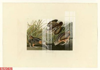 Chi tiết file tranh tráng gương Tranh sơn dầu phương tây tổng hợp STS73026 (ảnh gốc)