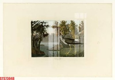 File tranh in trần 3D Tranh sơn dầu phương tây tổng hợp STS73048 (ảnh gốc)