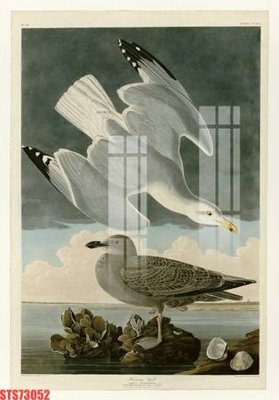 File tranh Tranh sơn dầu phương tây tổng hợp STS73052 (file gốc) chủ đề phong thủy