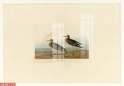 File gốc Tranh sơn dầu phương tây tổng hợp STS73055 (in ấn) không giới hạn