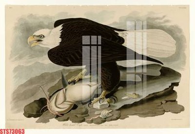 File in trần Tranh sơn dầu phương tây tổng hợp STS73063 (bản gốc) đại dương