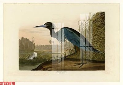 Tải file tranh Tranh sơn dầu phương tây tổng hợp STS73070 (gốc) tại Filetranh.com