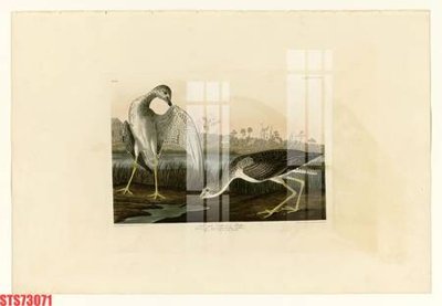 Ảnh gốc file in lụa Tranh sơn dầu phương tây tổng hợp STS73071 chi tiết