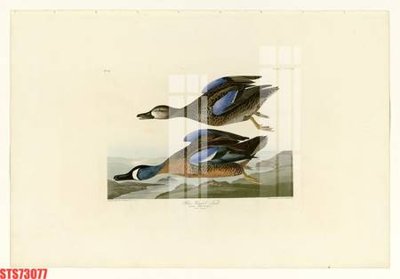 File gốc Tranh sơn dầu phương tây tổng hợp STS73077 (in mica) làm bảng hiệu