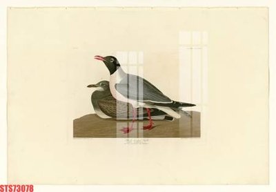 File tranh Tranh sơn dầu phương tây tổng hợp STS73078 (gốc) chủ đề thành phố