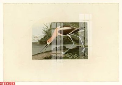 Tải file Tranh sơn dầu phương tây tổng hợp STS73082 (ảnh gốc) 300dpi Tranh sơn dầu phương tây tổng hợp STS73082