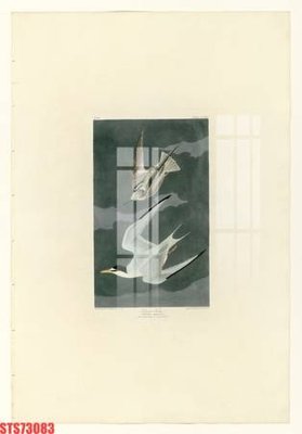 File tranh Tranh sơn dầu phương tây tổng hợp STS73083 (gốc) chủ đề thành phố