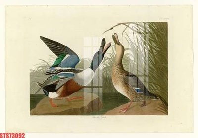 Tải file Tranh sơn dầu phương tây tổng hợp STS73092 (gốc) chủ đề tôn giáo