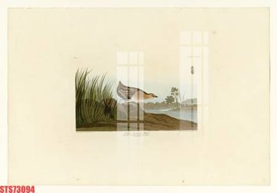 Tải file Tranh sơn dầu phương tây tổng hợp STS73094 (gốc) làm file quảng cáo