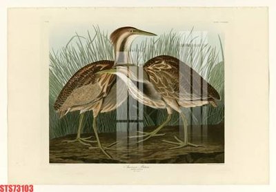 File gốc Tranh sơn dầu phương tây tổng hợp STS73103 (cho in ấn) từ kho Filetranh