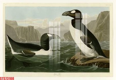 File tranh Tranh sơn dầu phương tây tổng hợp STS73108 (file gốc) chuẩn màu in