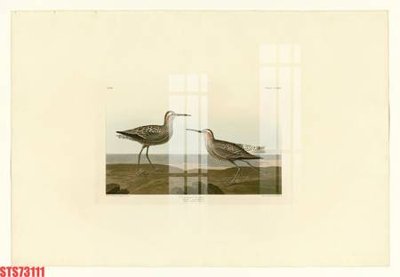 Ảnh gốc Tranh sơn dầu phương tây tổng hợp STS73111 (độ nét cao) in tráng gương