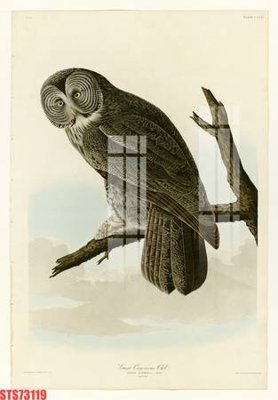 File tranh Tranh sơn dầu phương tây tổng hợp STS73119 (ảnh gốc) độ nét vượt trội