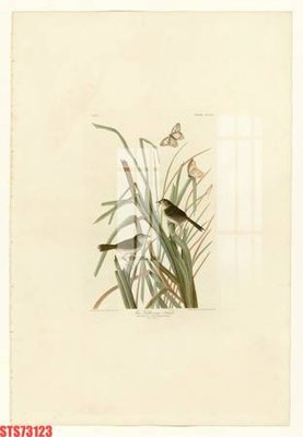 File gốc Tranh sơn dầu phương tây tổng hợp STS73123 (ảnh rõ nét) để in