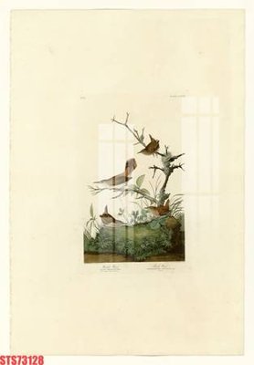 File gốc Tranh sơn dầu phương tây tổng hợp STS73128 (PSD/TIFF) độ phân giải cao