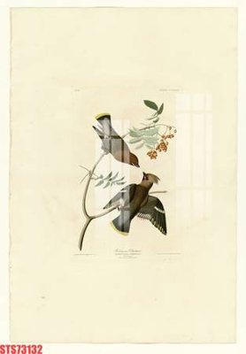 File in trần Tranh sơn dầu phương tây tổng hợp STS73132 (bản gốc 3D) sống động