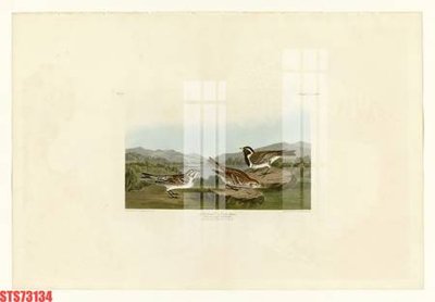 File gốc in ấn Tranh sơn dầu phương tây tổng hợp STS73134 độ phân giải cao