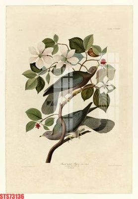 File tranh Tranh sơn dầu phương tây tổng hợp STS73136 (ảnh gốc) in trần xuyên sáng