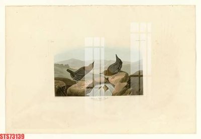 File in mica Tranh sơn dầu phương tây tổng hợp STS73139 (bản gốc) làm vách ngăn