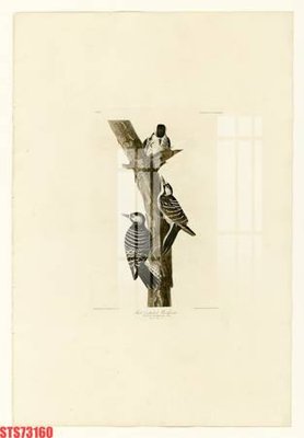 Tải file Tranh sơn dầu phương tây tổng hợp STS73160 (gốc) làm file tranh quảng cáo