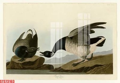 Download file gốc Tranh sơn dầu phương tây tổng hợp STS73163 (in mica) logo