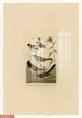 File in trần Tranh sơn dầu phương tây tổng hợp STS73166 (bản gốc) đại dương