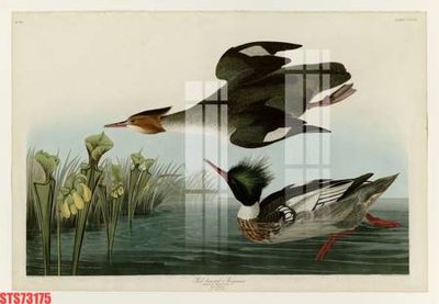 Tải về file gốc Tranh sơn dầu phương tây tổng hợp STS73175 (chuẩn in ấn)