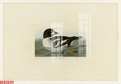 Tải về file gốc Tranh sơn dầu phương tây tổng hợp STS73177 (dùng cho in quảng cáo)