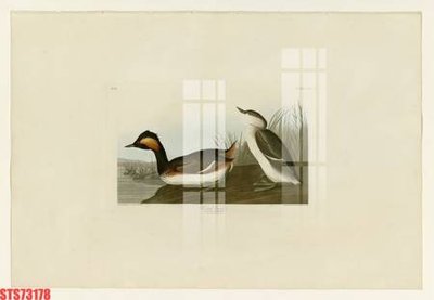 File PSD Tranh sơn dầu phương tây tổng hợp STS73178 (nguyên bản) cho thiết kế