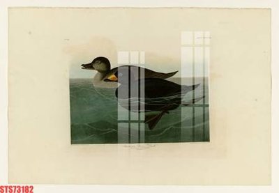 Tải file Tranh sơn dầu phương tây tổng hợp STS73182 (gốc) chủ đề phong thủy