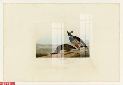 File PSD Tranh sơn dầu phương tây tổng hợp STS73188 (bản gốc) dễ dàng edit